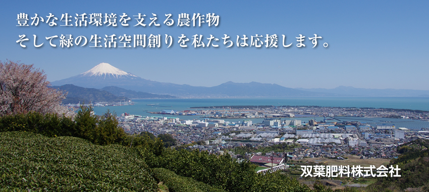 トップ写真